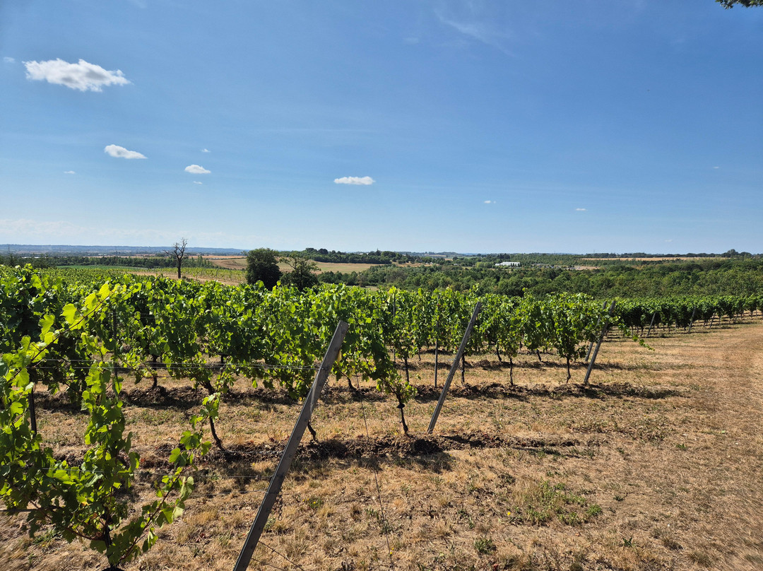 Missing Gate Vineyard-Woodham Ferrers必去景点