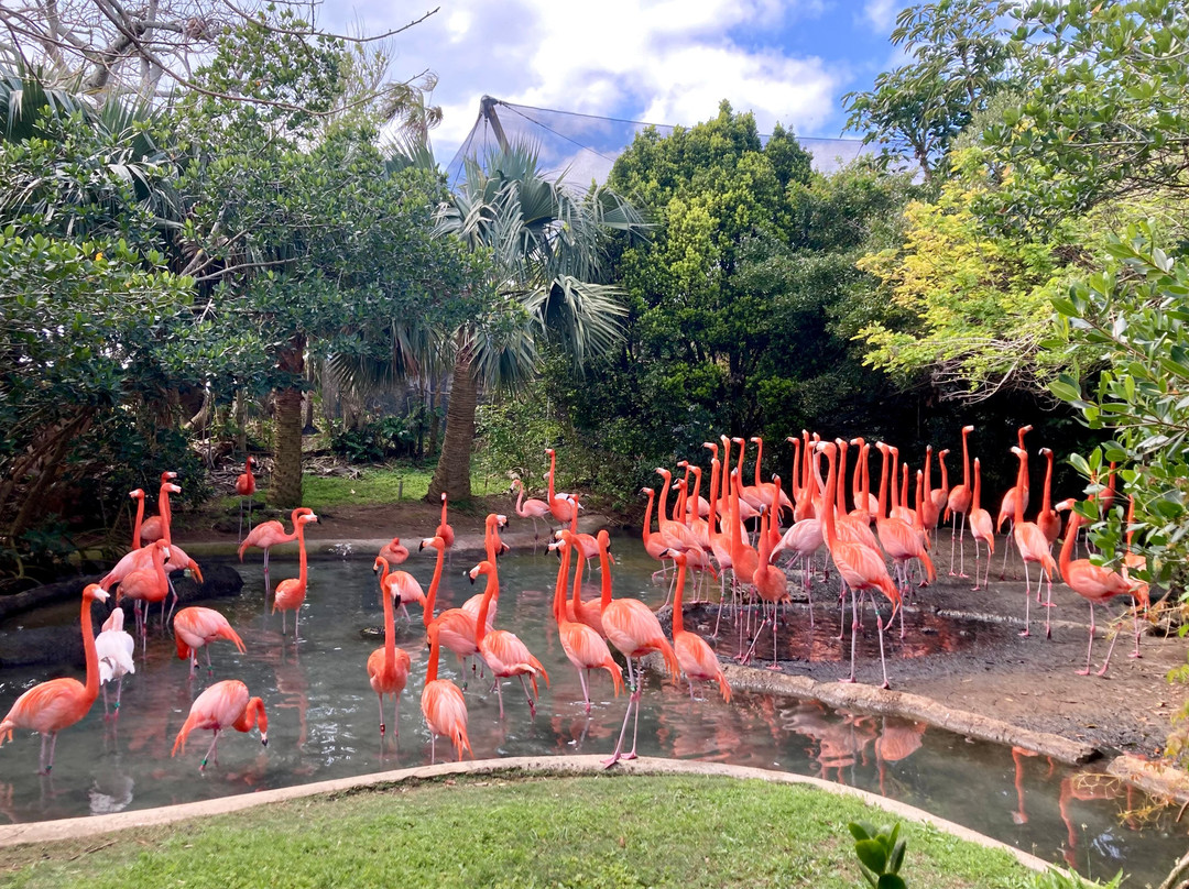 Bermuda Aquarium, Museum & Zoo-Hamilton Parish必去景点