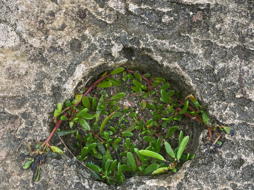 Spittal Pond Nature Reserve-百慕大必去景点