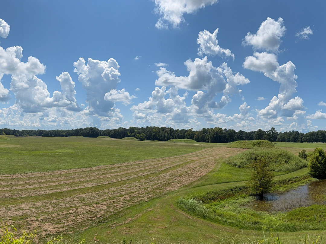 Moundville Archaeological Park-Moundville必去景点