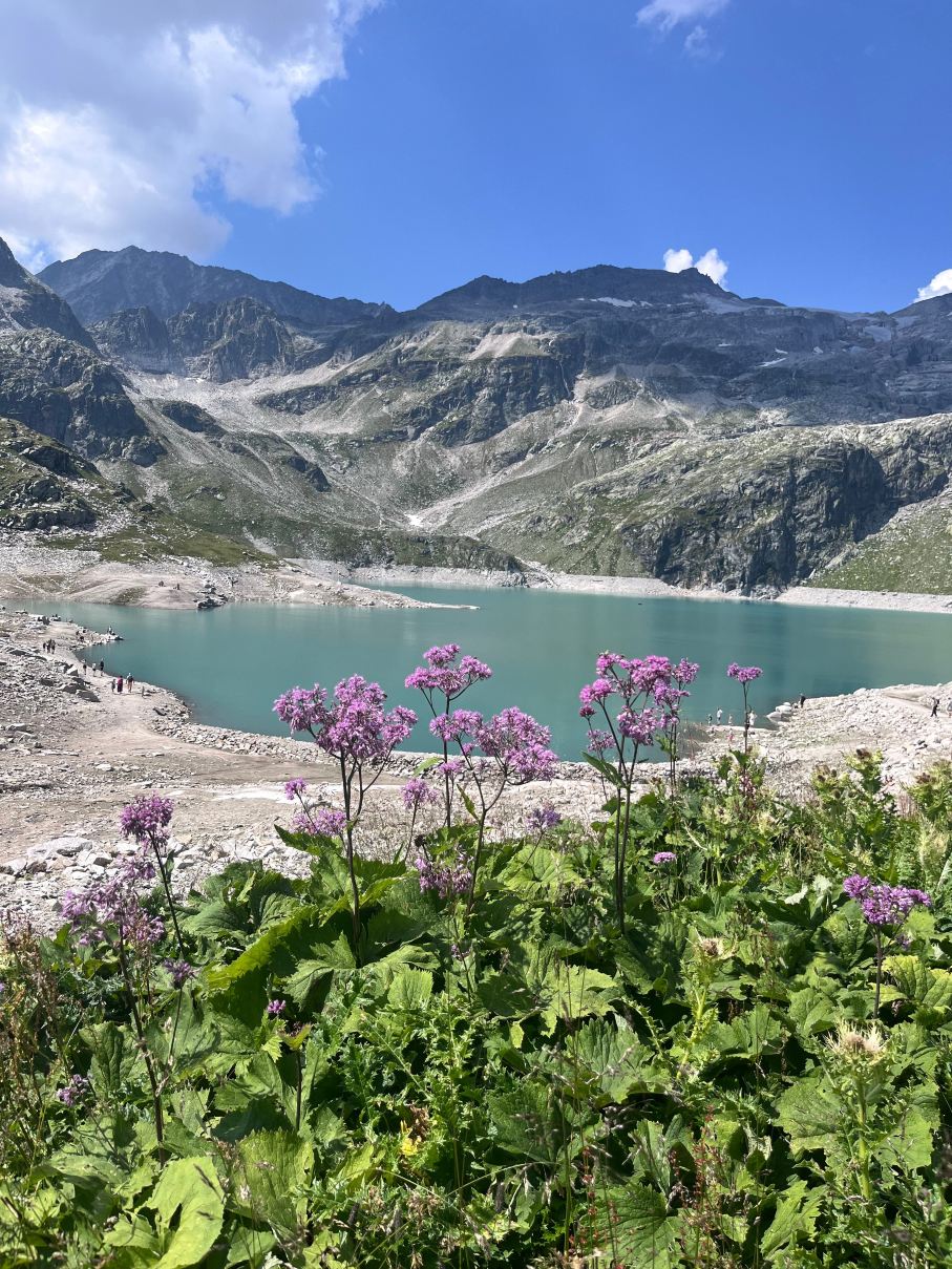 Hotel Oberwirt - Nahe an Saalbach Und Zell am See, Viehhofen Sommercard-旅行者