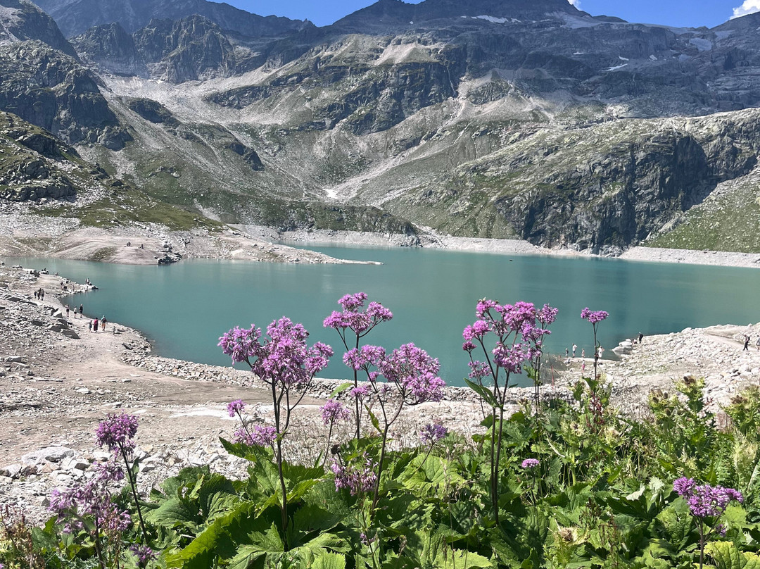Hotel Oberwirt - Nahe an Saalbach Und Zell am See, Viehhofen Sommercard主图