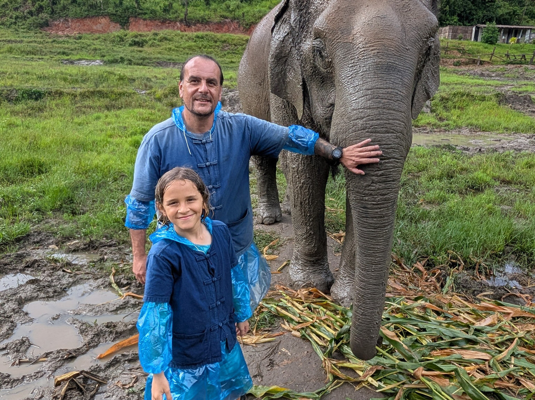 Living Green Elephant Sanctuary-清迈必去景点
