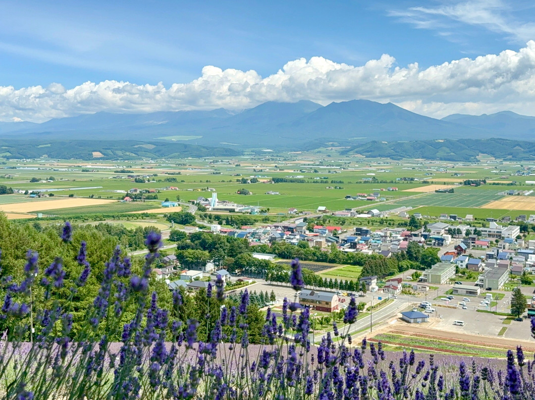 Nakafurano Flower Park-中富良野町必去景点