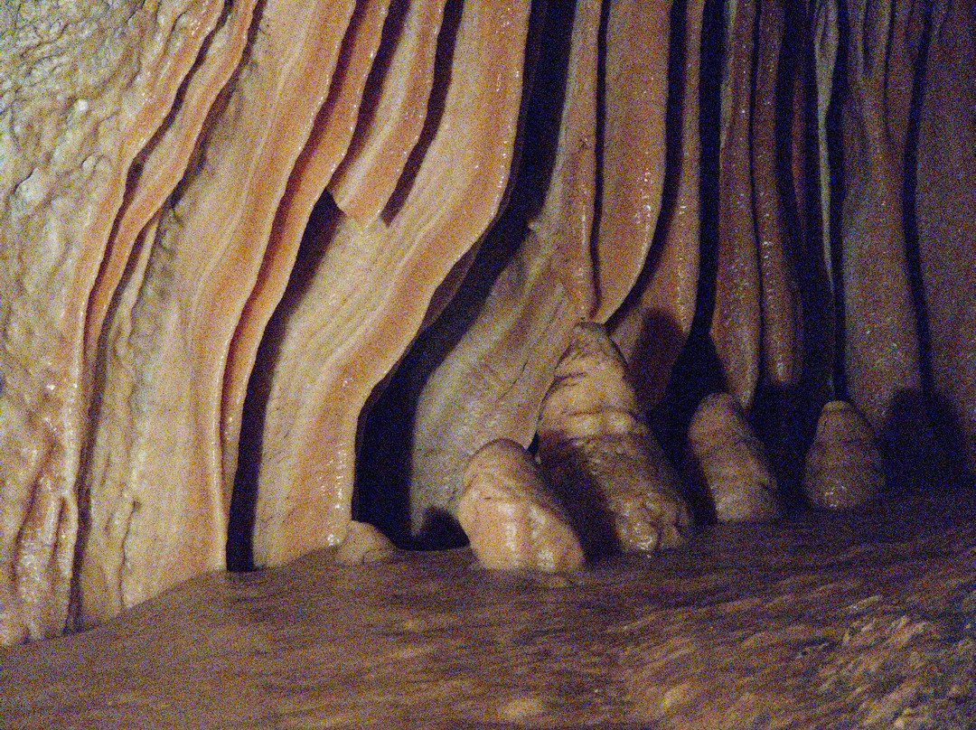 Grotte di Toirano-Toirano必去景点