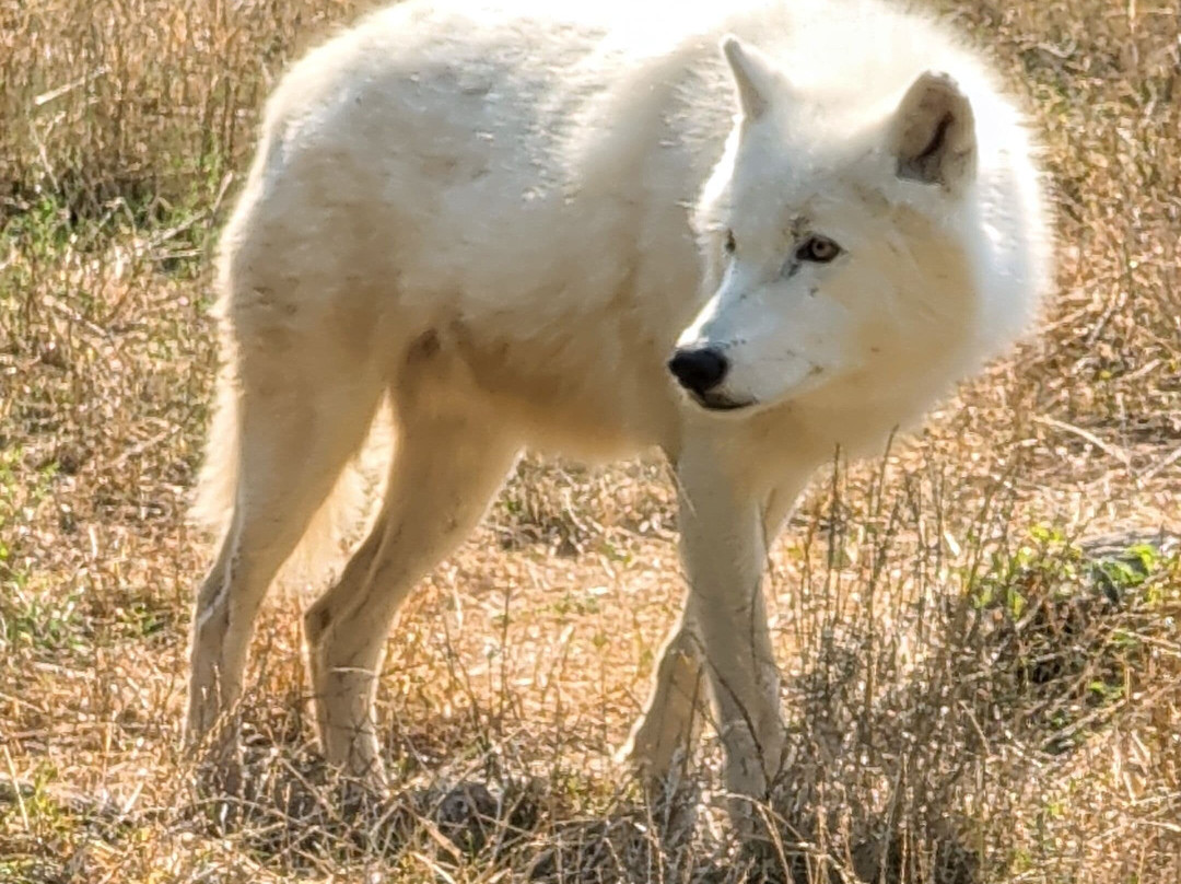 Parc Animalier De Sainte-croix-Rhodes必去景点