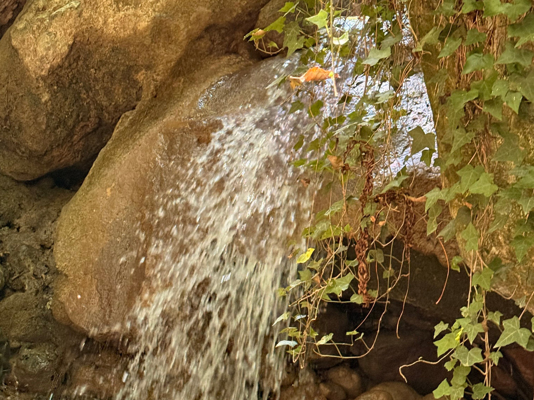 Acqua Trekking-Viggianello必去景点