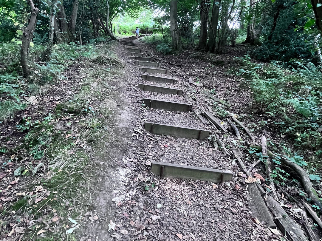 Holmside Park-Edmondsley必去景点