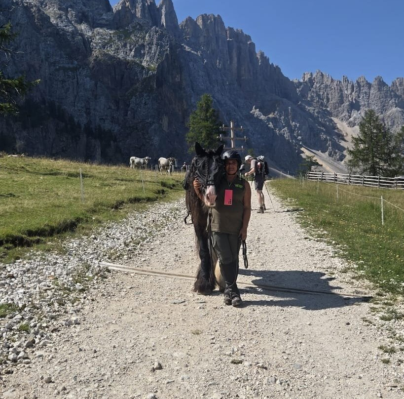 Reitzentrum Angerle Alm-诺瓦莱万泰必去景点