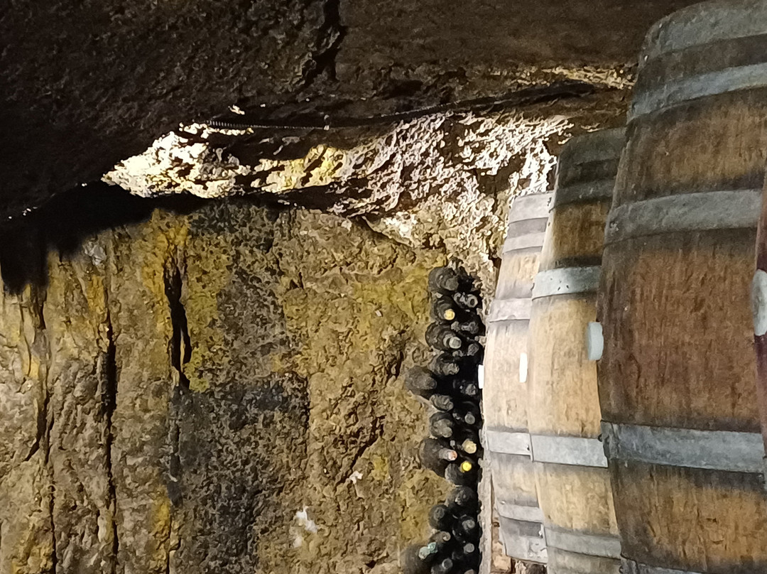 Cantine del Notaio-Rionero in Vulture必去景点