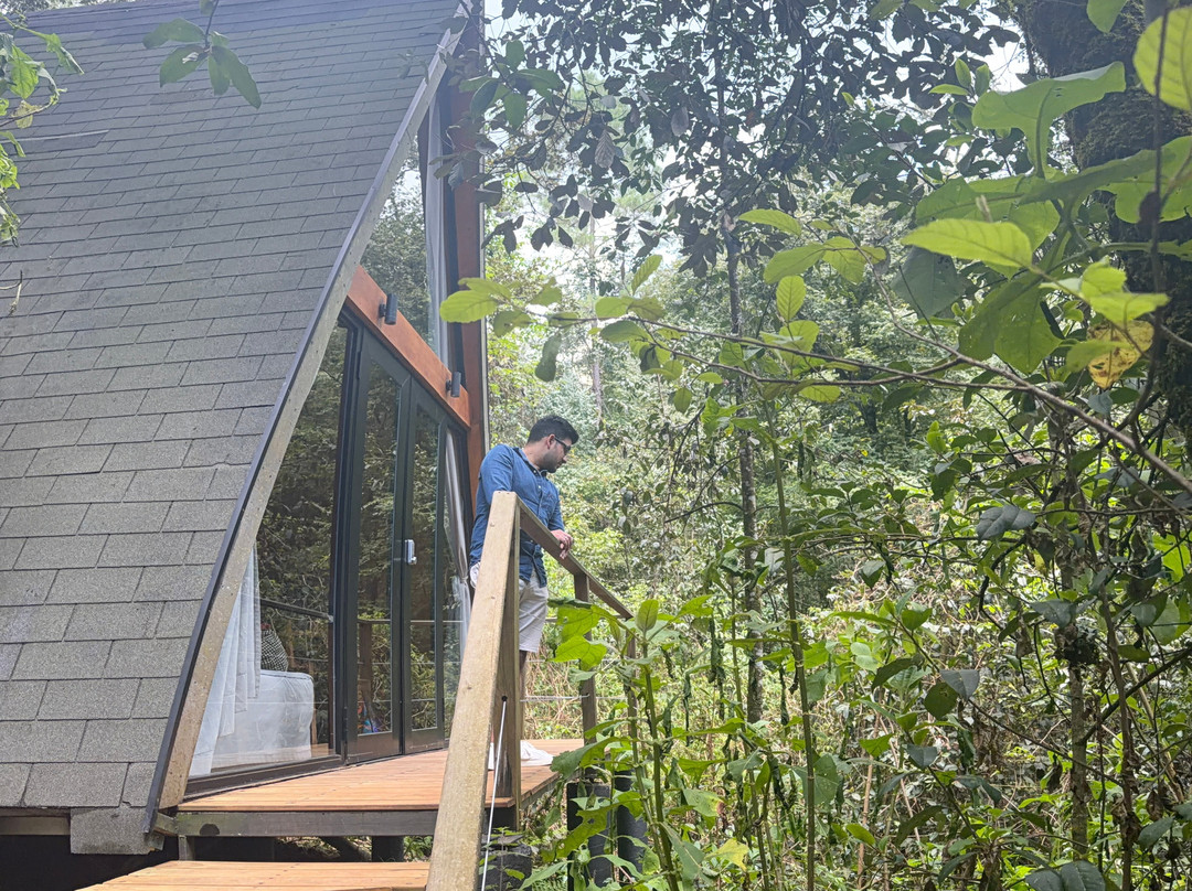 Wander Cabins