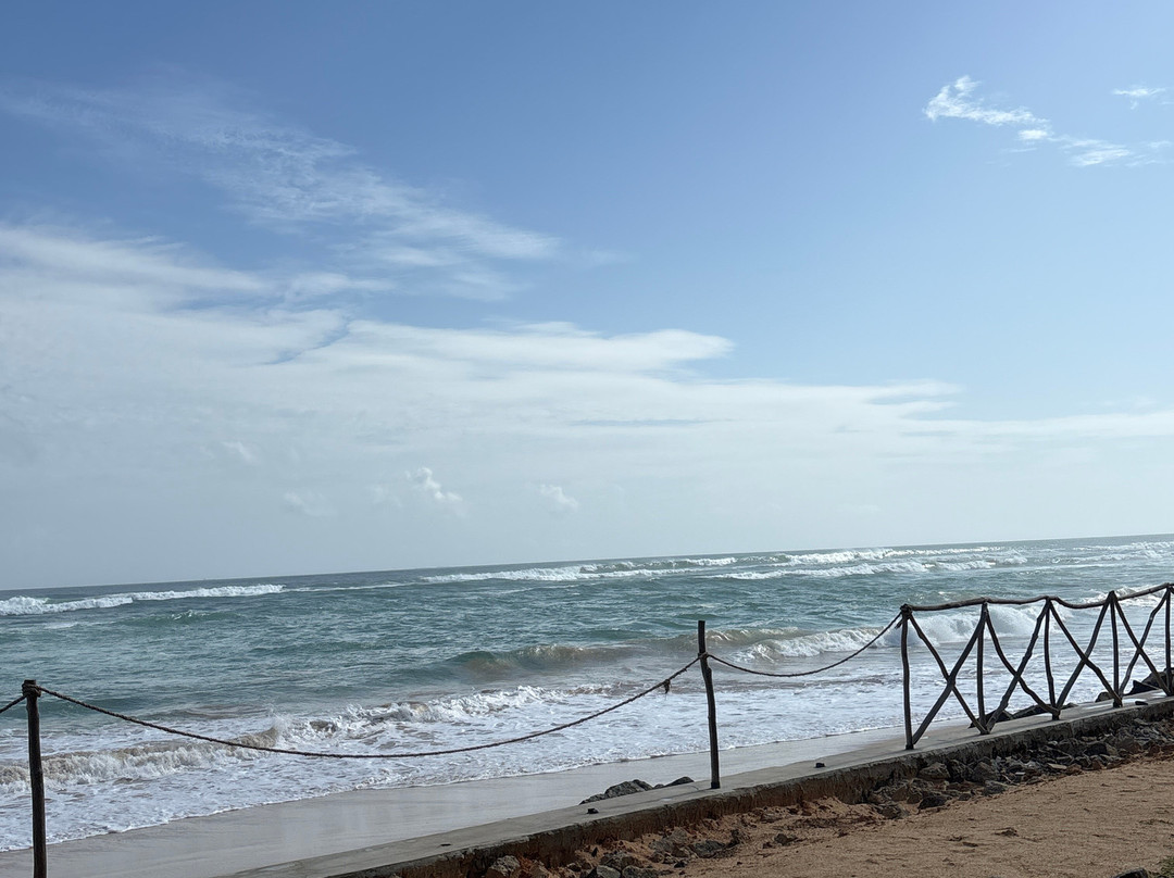 The South Beach主图