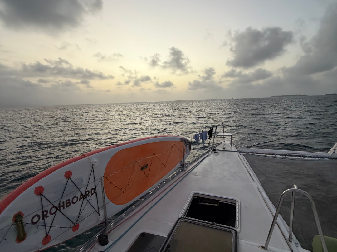 Flying Ginny Catamaran Charter-埃尔波韦尼尔必去景点