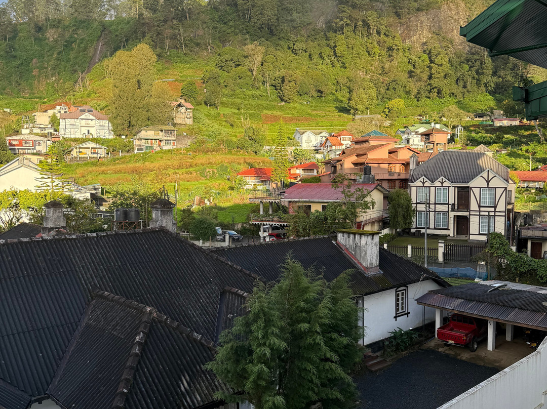 阿拉利亚绿野仙居酒店主图