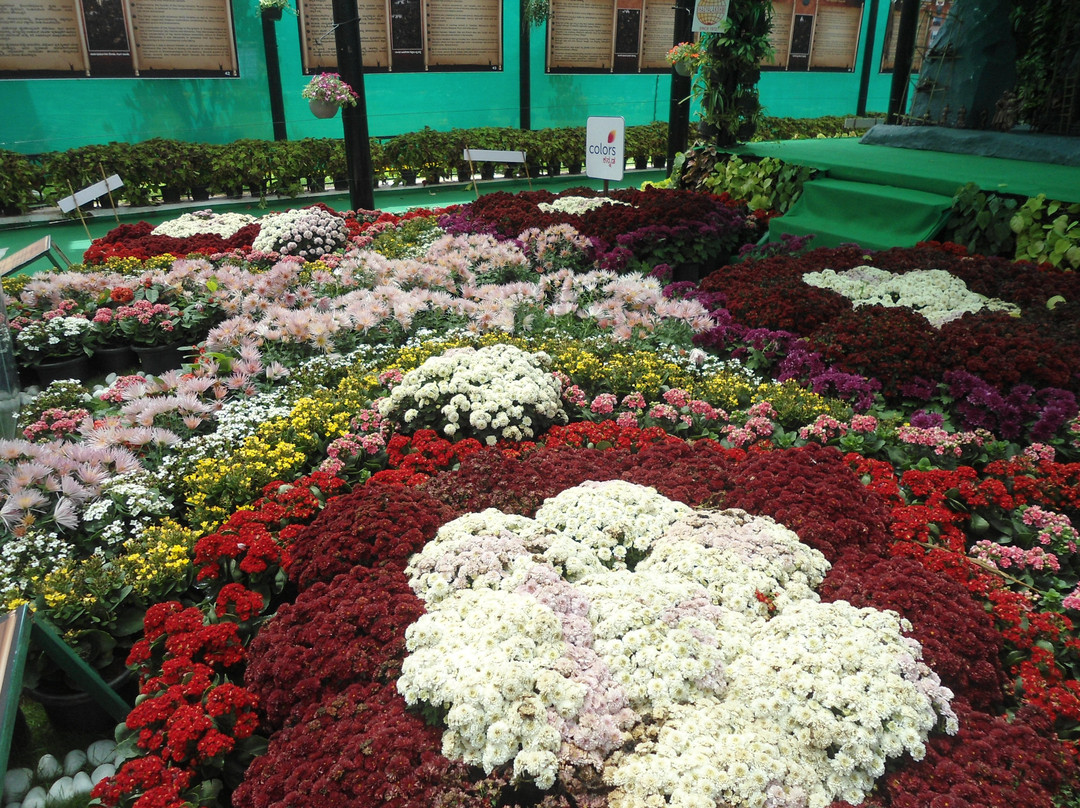 Lalbagh Botanical Garden-班加罗尔必去景点