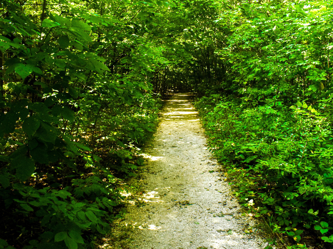Arcadia Dunes CS Mott Nature Preserve-Arcadia必去景点