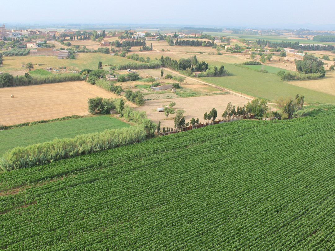 Globus Empordà-Colomers必去景点