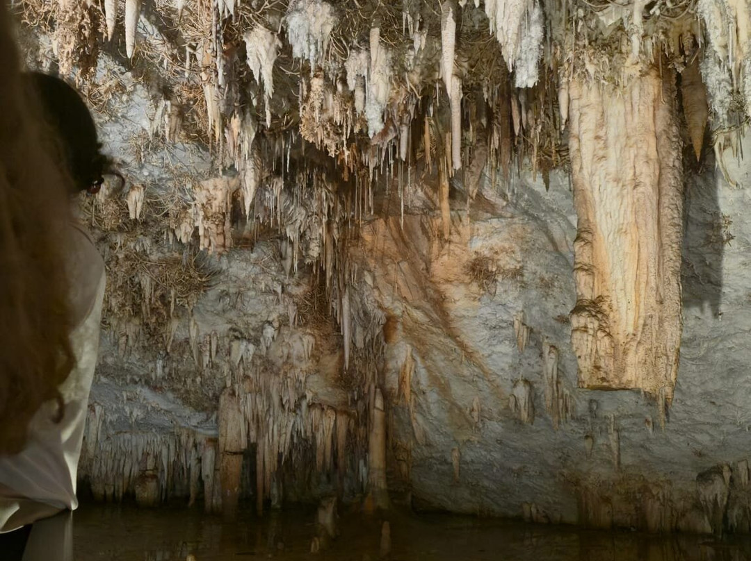 Cueva De Pozalagua-Valle de Carranza必去景点