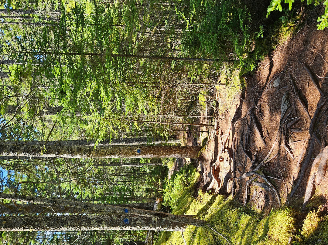 Barred Island Preserve-Deer Isle必去景点
