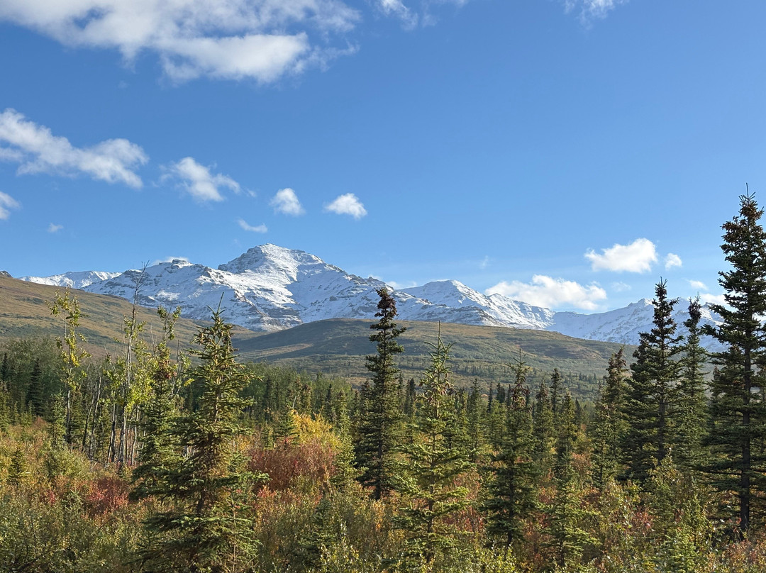 Denali Black Diamond Covered Wagon-Denali Park必去景点
