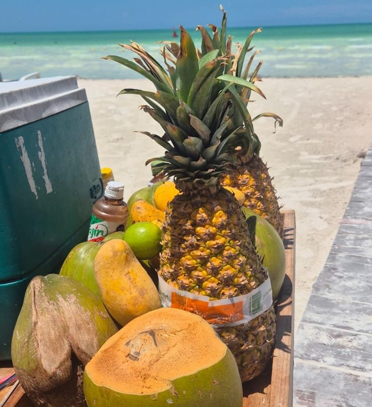 Isla Holbox-Holbox Island必去景点