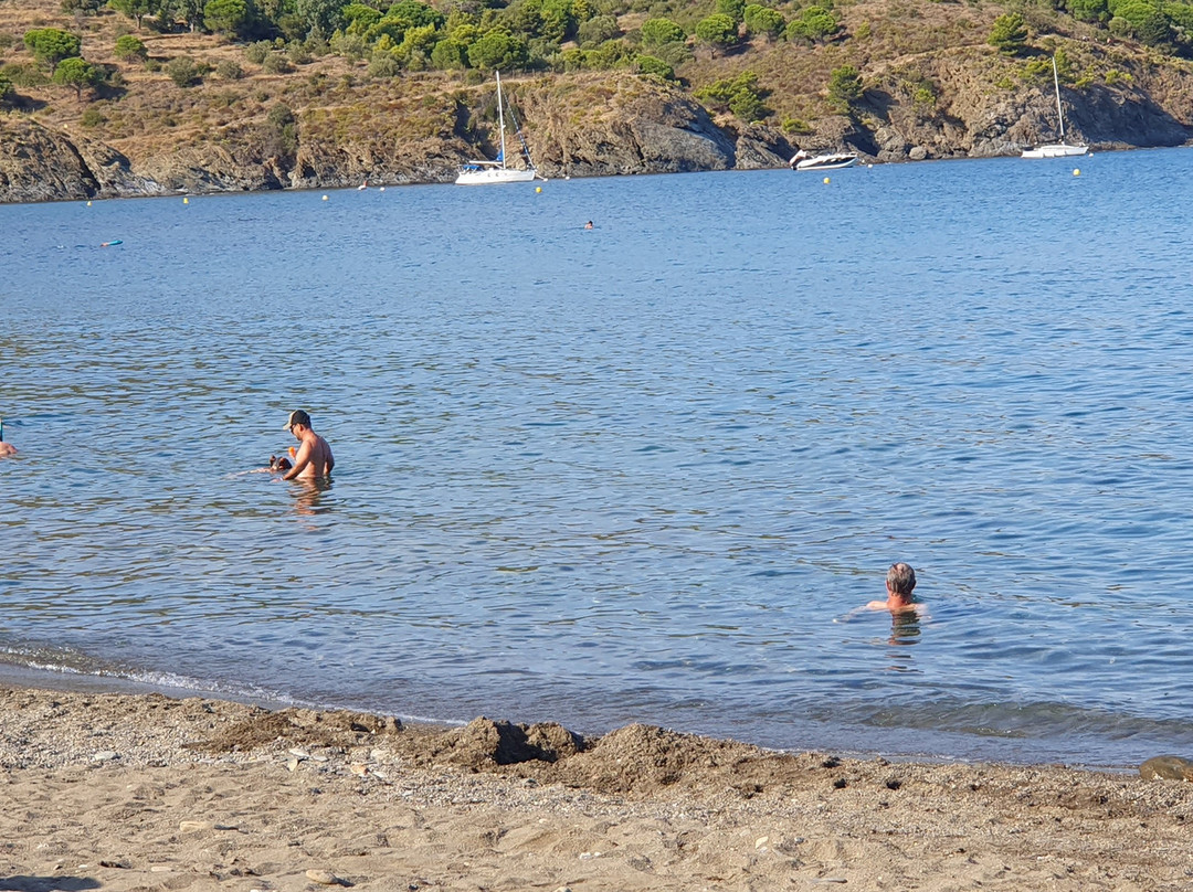 Plage de Paulilles-Port-Vendres必去景点