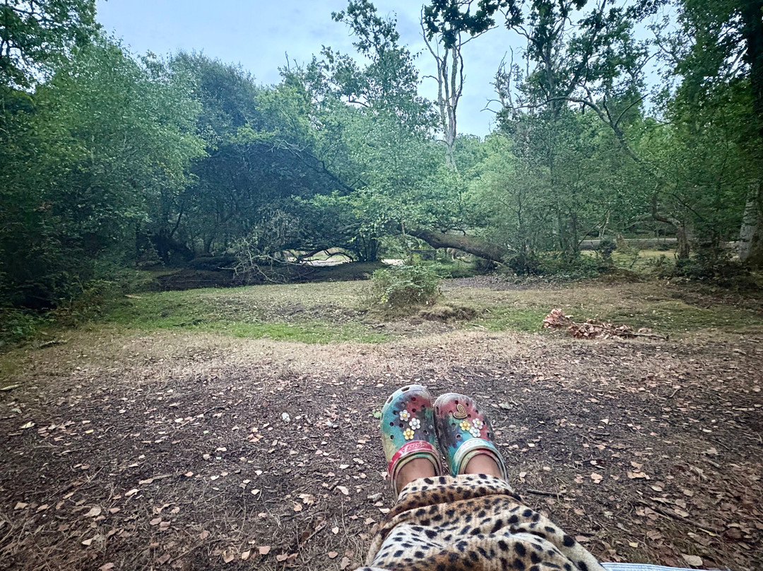 Aldridge Hill Campsite