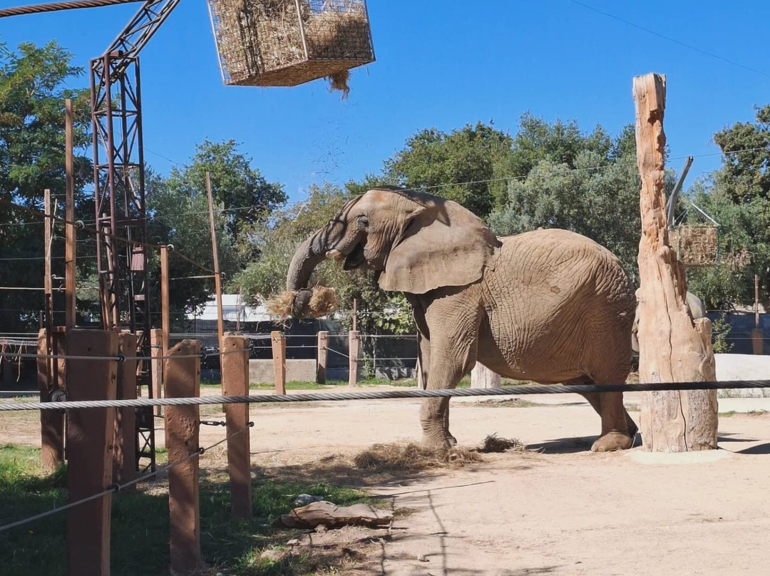 Zoo d'Abruzzo-Rocca San Giovanni必去景点