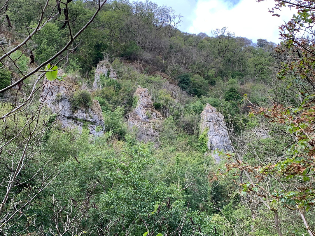 Dovedale-阿什伯恩必去景点