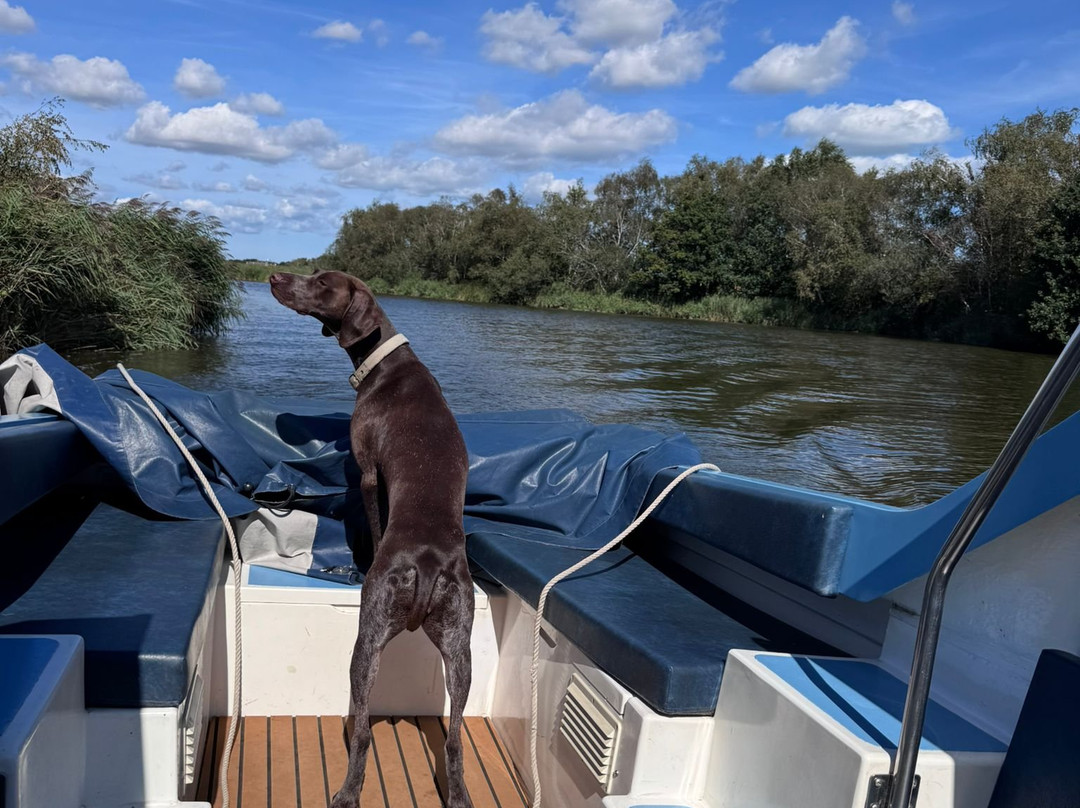 Martham Ferry Day Boat Hire-Martham必去景点