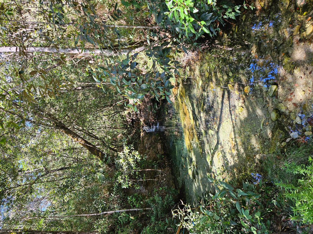 Cachoeira Loquinhas-上帕拉伊苏迪戈亚斯必去景点