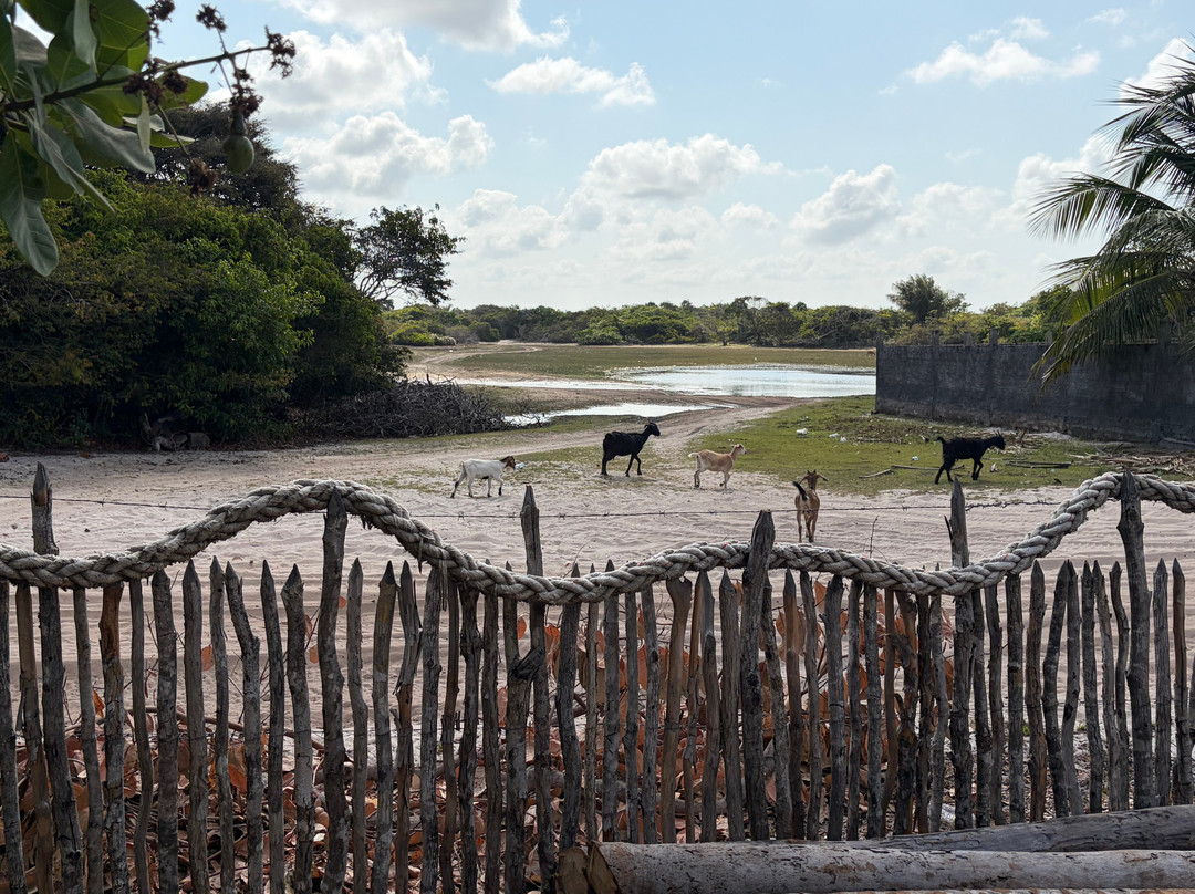 Rosettur Viagens e Turismo