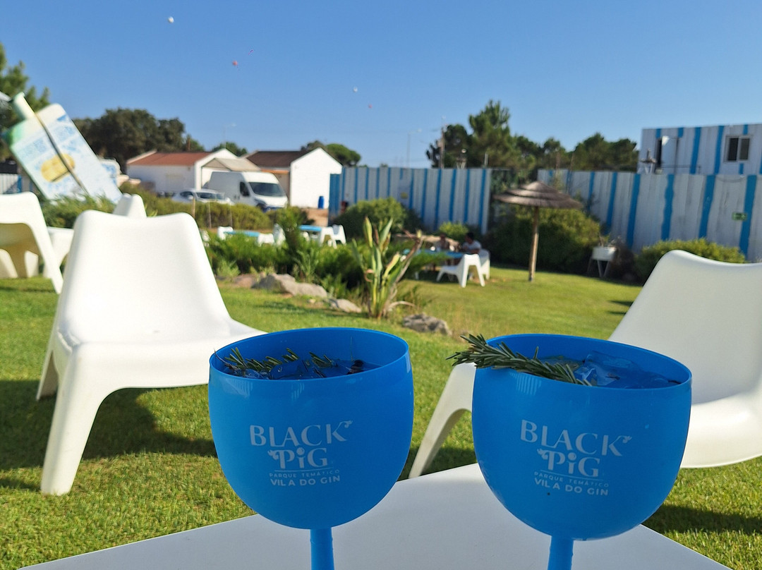 Black Pig Gin-Santiago do Cacem必去景点