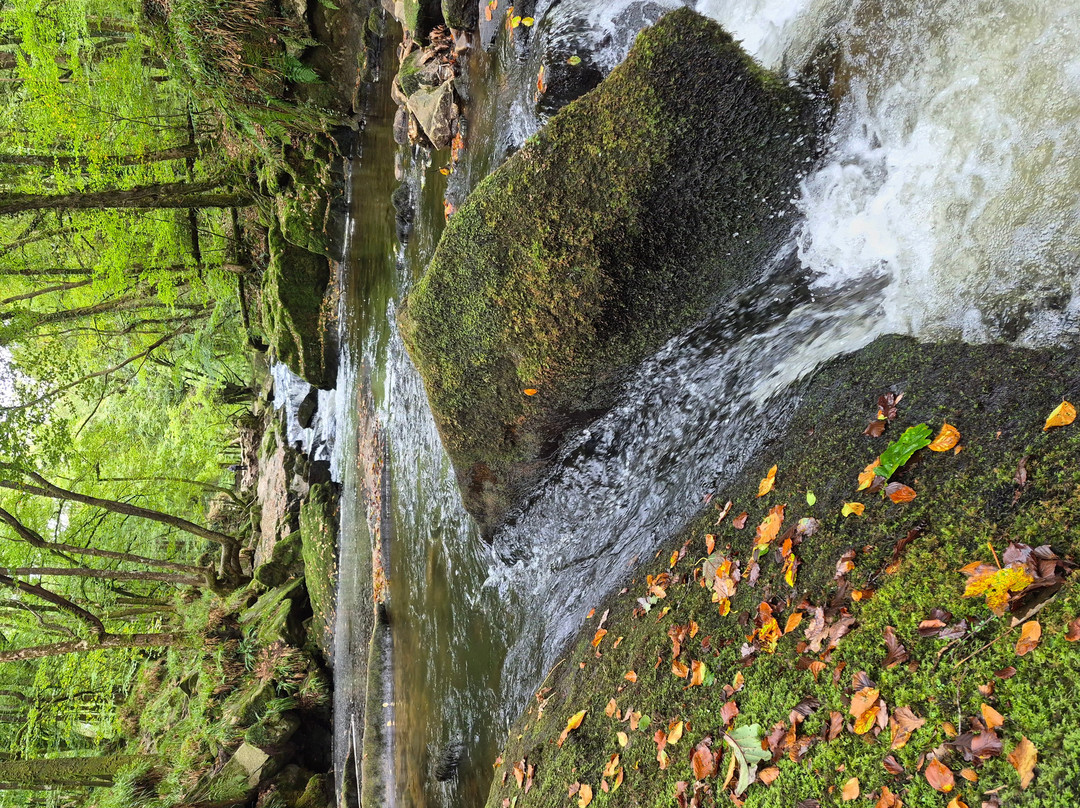 Golitha Falls-利斯卡德必去景点