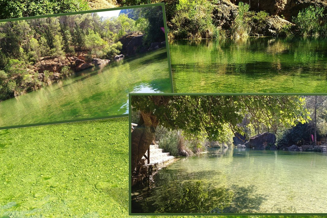 Charco de la Pringue-Villanueva del Arzobispo必去景点