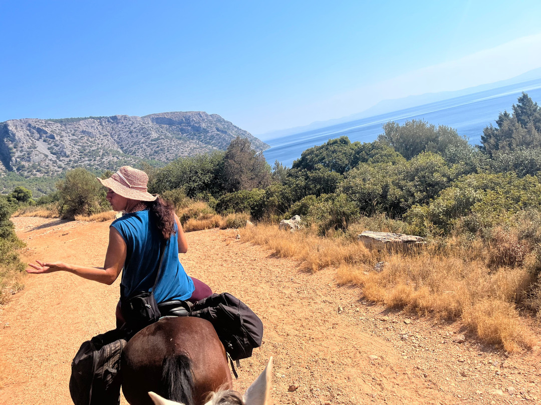 Panouris Ranch-Samos Town必去景点