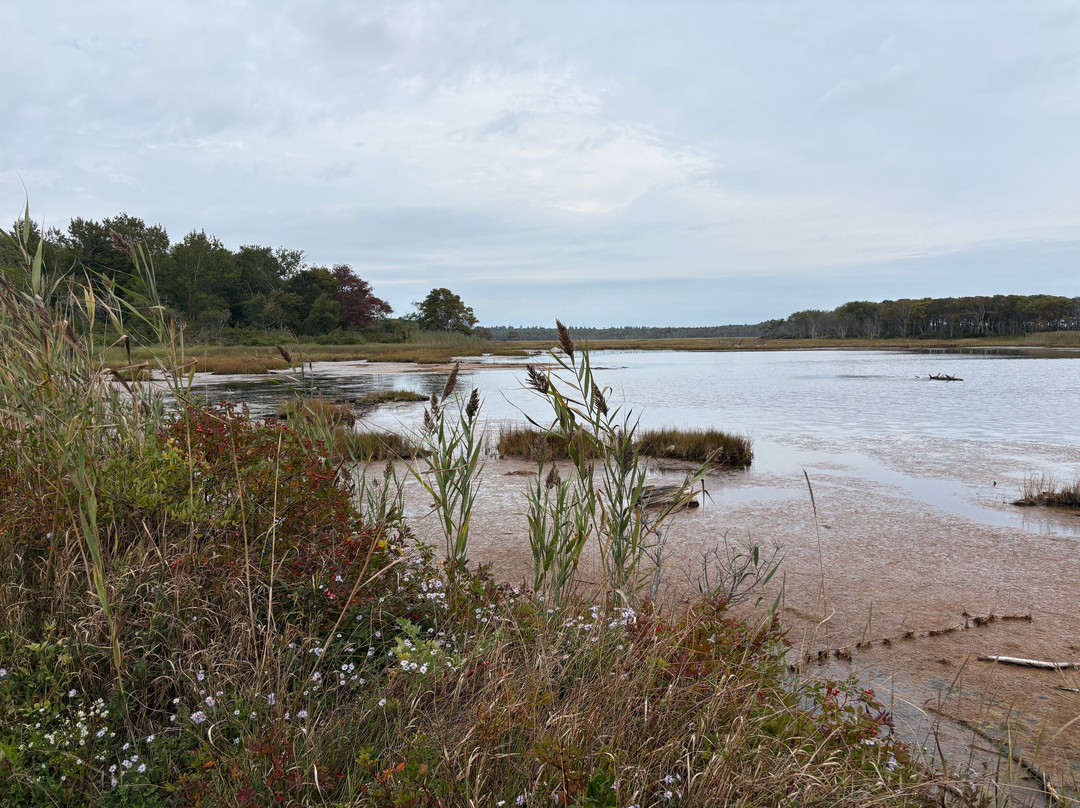 Wells Reserve at Laudholm-韦尔斯必去景点