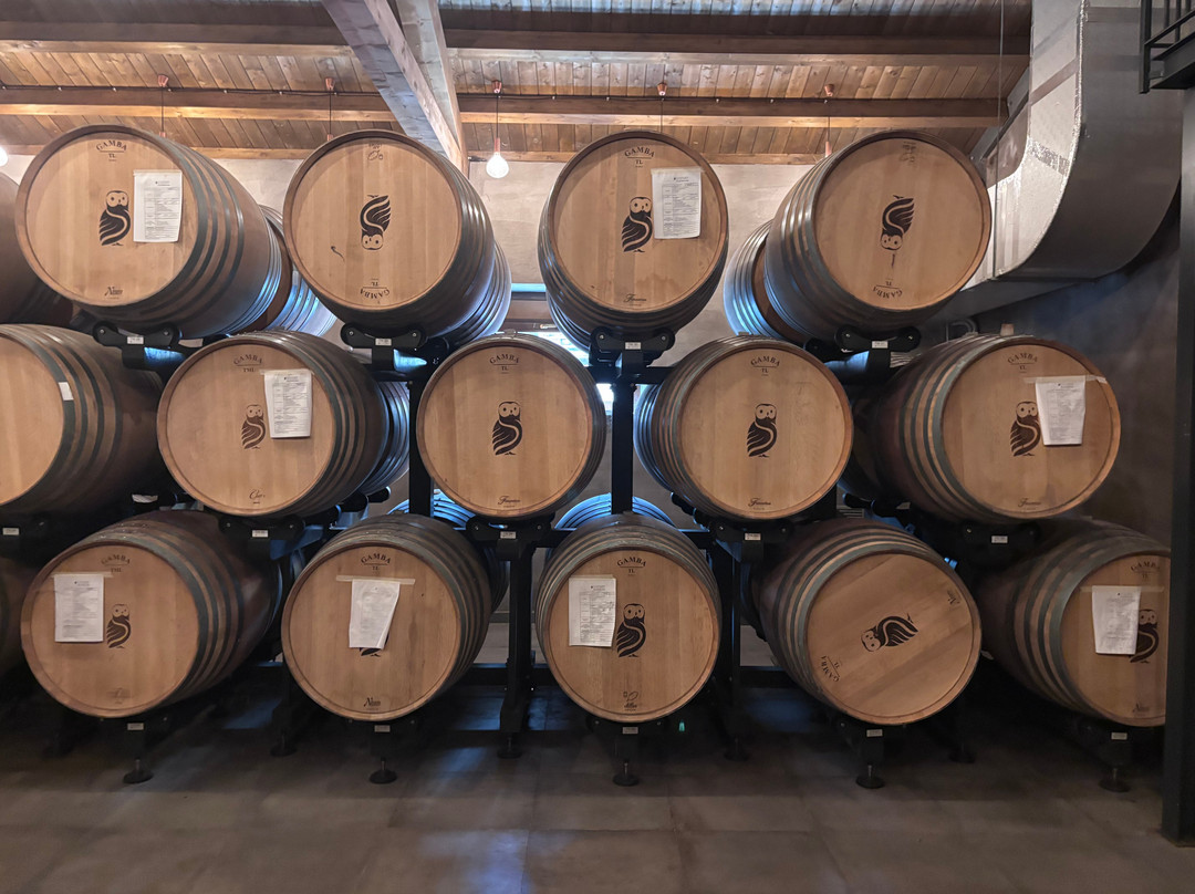 Wine tasting at I Custodi delle Vigne dell'Etna-Solicchiata必去景点