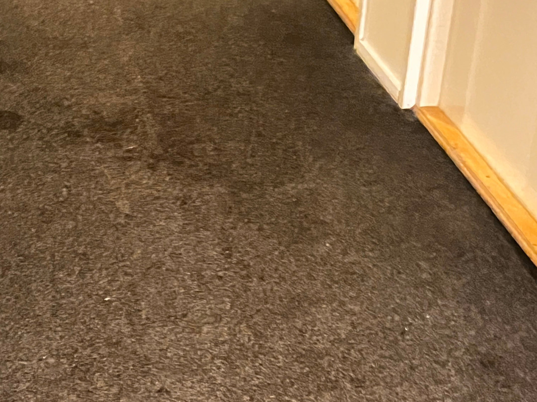 戴尔罗格酒店主图