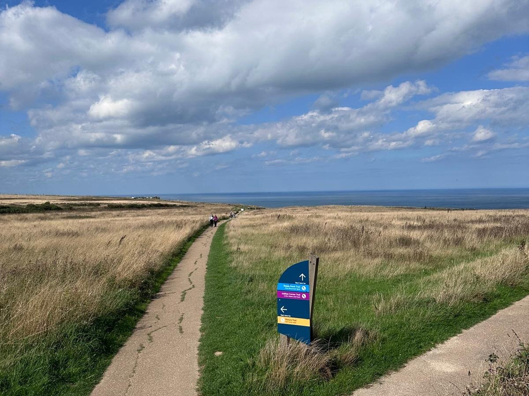 RSPB Bempton Cliffs-Bempton必去景点