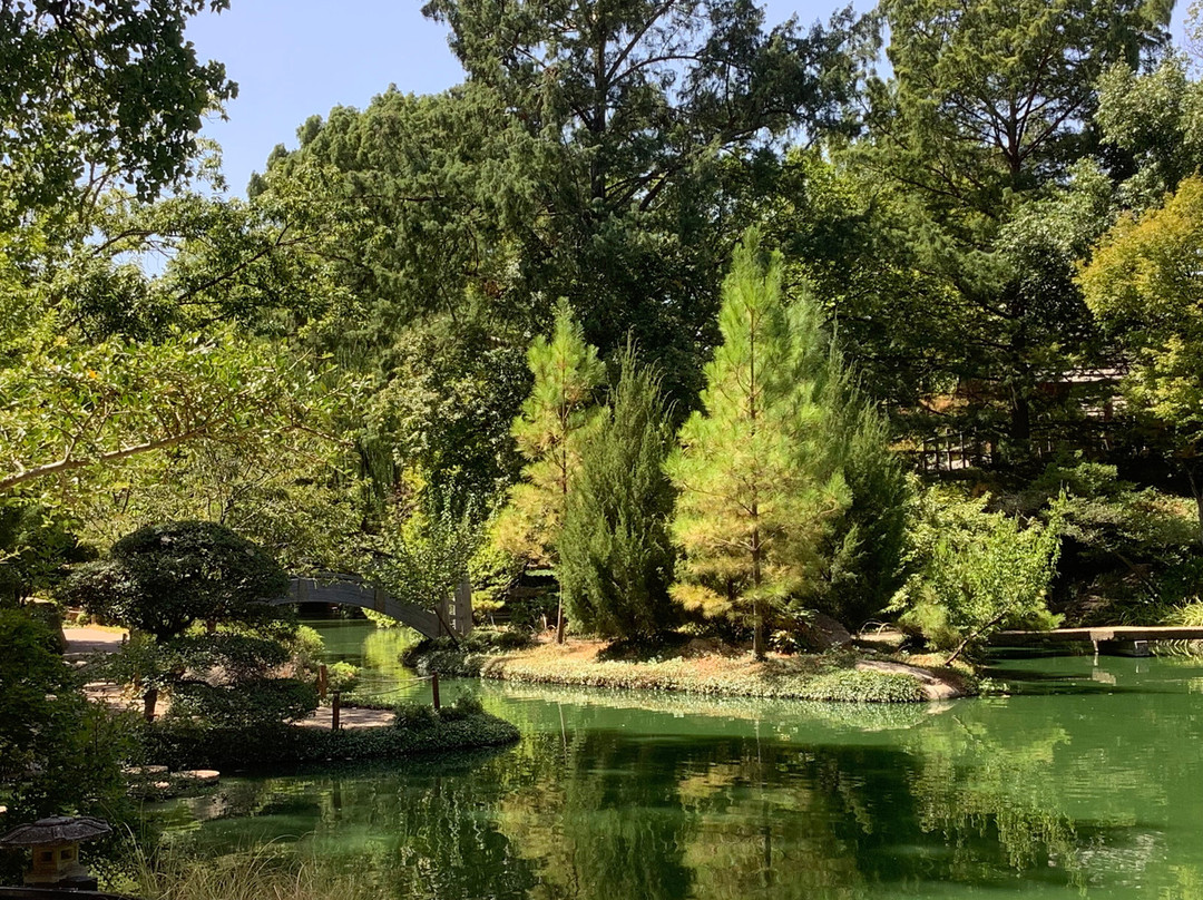 Fort Worth Botanic Garden-沃思堡必去景点