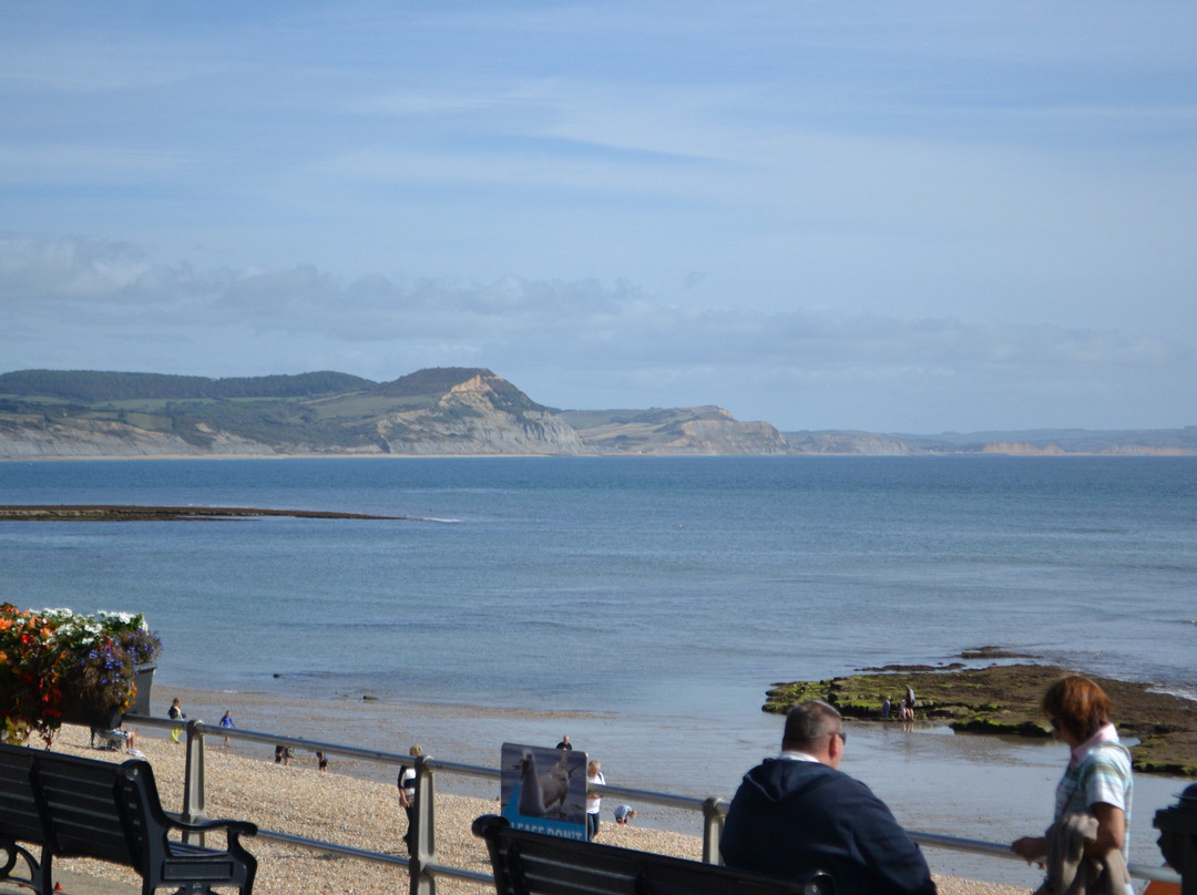 Lyme Regis Beach-莱姆里杰斯必去景点