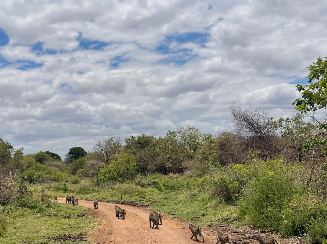 Unlimited Expeditions - The Soul Of Tanzania-阿鲁沙必去景点