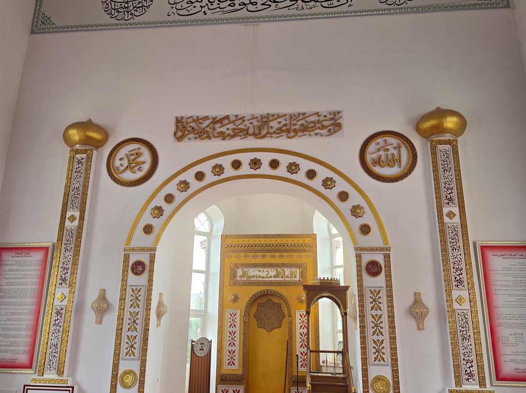 Red Great Mosque-托木斯克必去景点