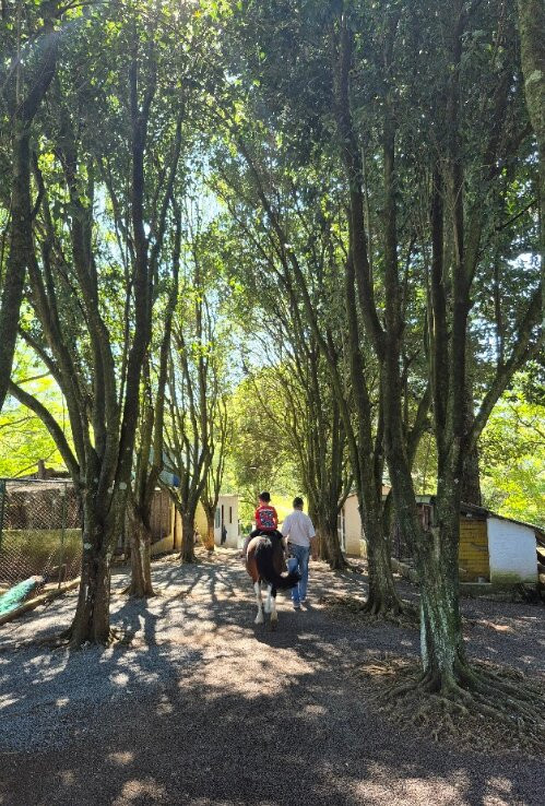 Parque Tres Pinheiros-Piratuba必去景点