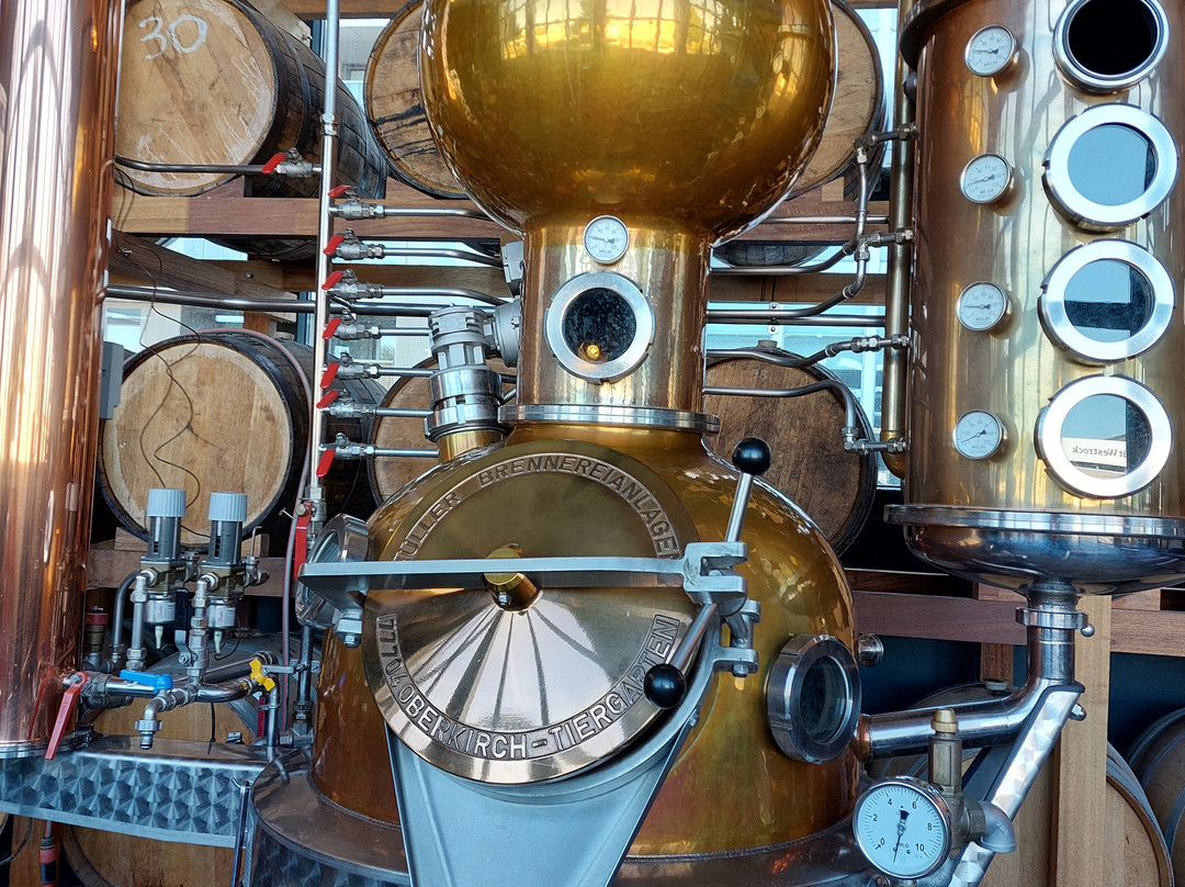 Bottle Distillery-埃因霍温必去景点