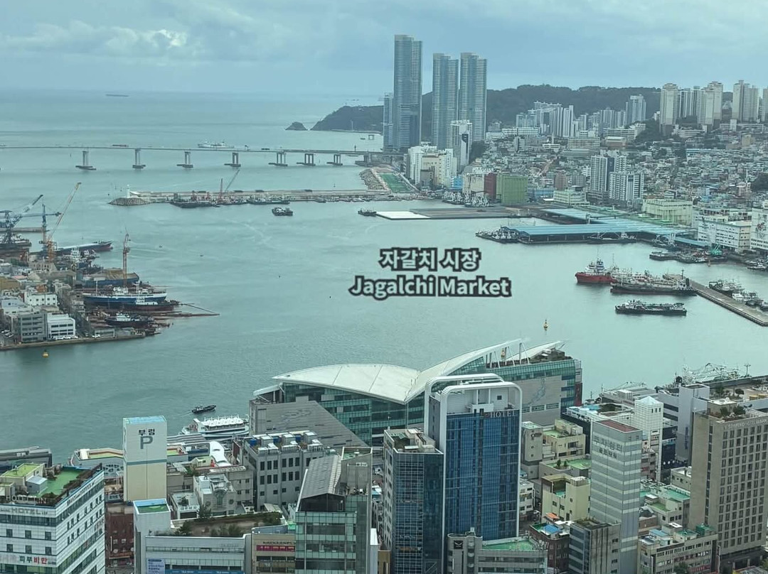 Busan Tower-釜山必去景点