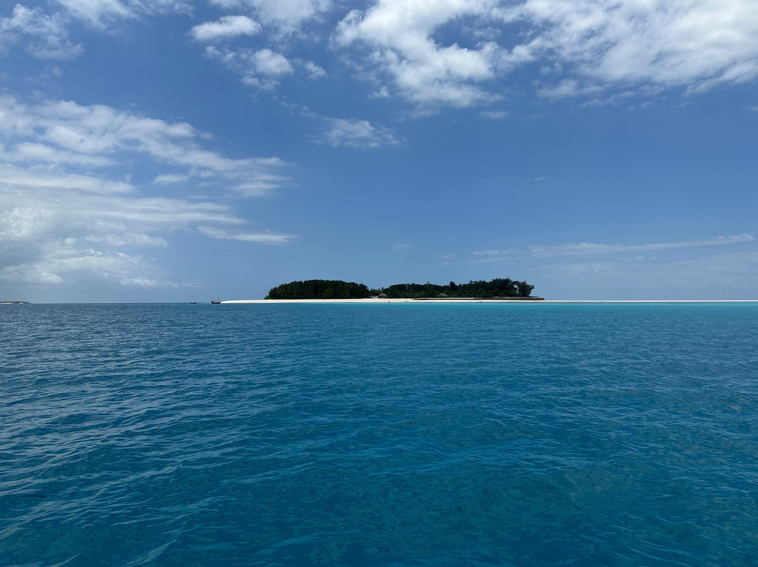 Dive Point Zanzibar-Matemwe必去景点