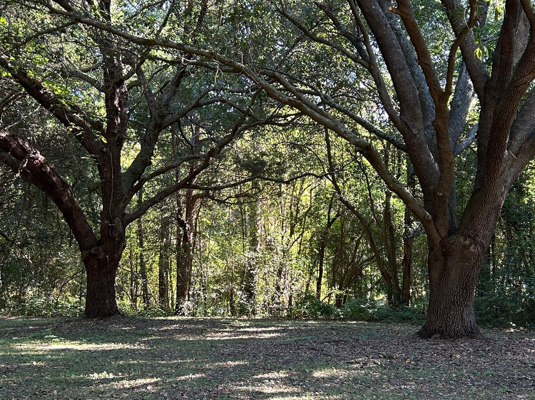 Eutaw Springs Battlefield Park-Eutawville必去景点