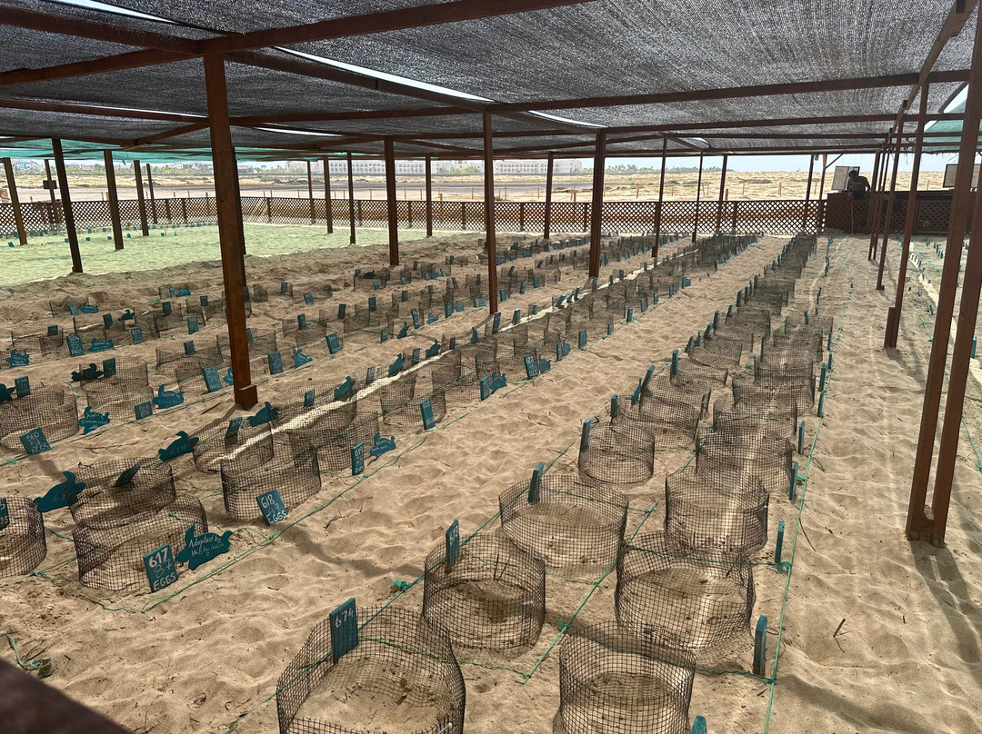 Projeto Biodiversidade-圣塔玛丽亚必去景点